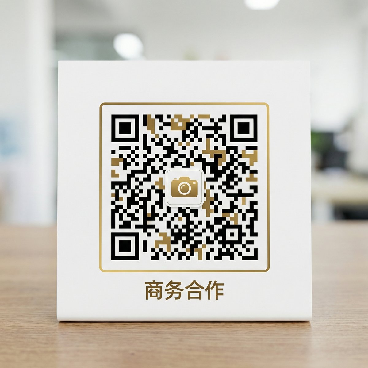 捷克街头商务合作